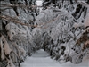 SWZ_Winterbilder 006